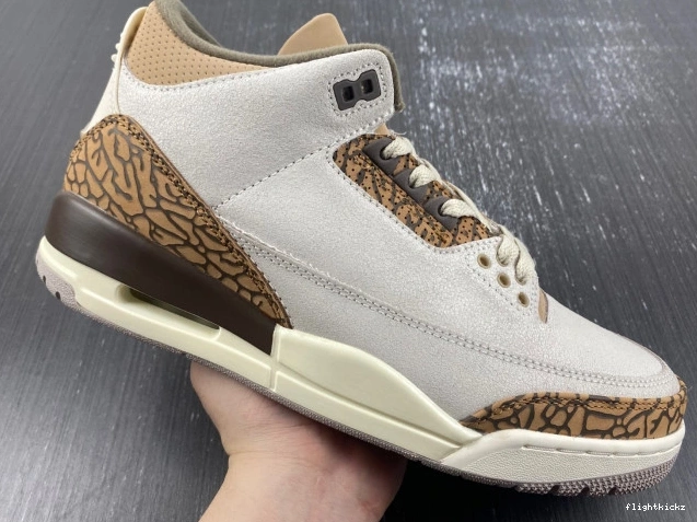 CT8532-102 3 Palomino Jordan Air 1010